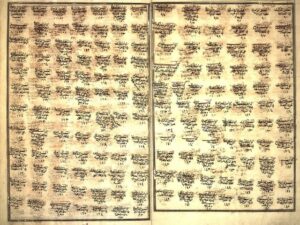 «ھىندى پەتۋالىرى» ياكى «ئالەمگىر پەتۋالىرى» قوليازمىسى