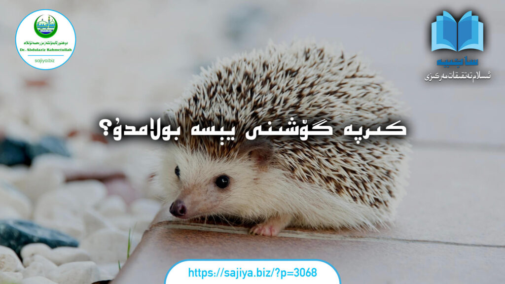 كىرپە گۆشىنى يېسە بولامدۇ؟