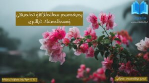 قاچانكى، بىرەر مۆھتىرەمە قىيىنچىلىققا دۇچ كەلسە، رەسۇلۇللاھ بەتنىيەتسىز ھالدا ئۇنى ئۆز ھىمايىسىگە ئالدى… رەسۇلۇللاھنىڭ ئائىلىسىگە يېڭىدىن قوشۇلغان خانىملار بۇ ھەقىقەتنى ھېس قىلاتتى ۋە ئۇشبۇ ۋەزىيەتنىڭ ئادەتتىكى ئىنسانىي تۇيغۇلاردىن ئەمەسلىكىنى بىلەتتى. ھەتتا بەزى خانىملار پەقەت «رەسۇلۇللاھنىڭ ئەھلى ئائىلىسى» دېگەن شەرەپ بىلەن كۇپايىلىنىپ، ئوچۇقچە ئاياللىق ھەق – ھوقۇقلىرىدىن ۋاز كەچكەنلىكىنى بىلدۈرگەن ئىدى. چۈنكى، رەسۇلۇللاھ ئۇلارنى نەپسى خاھىشىدىن ئەمەس، بەلكى ئىنسانىي بىر چاقىرىققا جاۋاب بېرىش يۈزىدىن ئۆز ھىمايىسىگە ئالغان. ئەھۋال يۇقىرىقىدەك تۇرسا، سىلەر دەۋاتقان شەھۋەت ۋە بەتنىيەت بۇنىڭ قەيېرىدە؟!