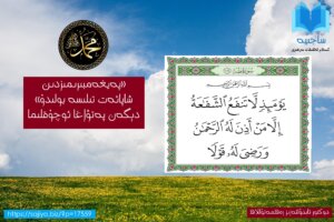 «پەيغەمبىرىمىزدىن شاپائەت تىلىسە بولىدۇ» دېگەن پەتۋاغا ئوچۇقلىما
